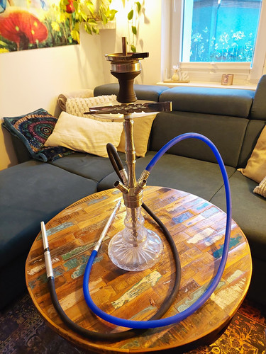 Shisha*Wasserpfeife*Alligator